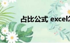 占比公式 excel怎么设置（占比）