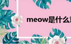 meow是什么意思（meow）