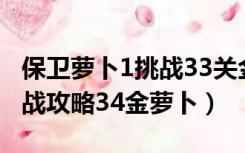 保卫萝卜1挑战33关金萝卜攻略（保卫萝卜挑战攻略34金萝卜）