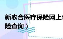 新农合医疗保险网上查询（新农村合作医疗保险查询）