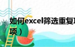 如何excel筛选重复项（excel快速筛选重复项）