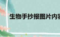 生物手抄报图片内容整洁又美观四年级