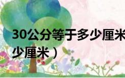 30公分等于多少厘米 有多大（30公分等于多少厘米）