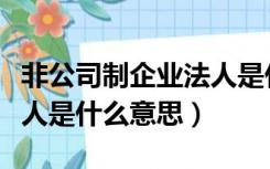 非公司制企业法人是什么意思（非公司企业法人是什么意思）