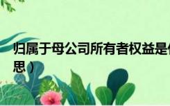 归属于母公司所有者权益是什么意思（所有者权益是什么意思）