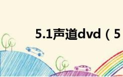 5.1声道dvd（5 1声道电影下载）