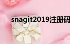 snagit2019注册码（SNAGIT注册码）