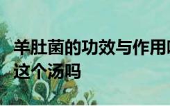 羊肚菌的功效与作用吃法煲汤有肿瘤人可以喝这个汤吗