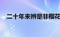 二十年来辨是非榴花开处照宫闱三春争及