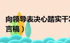 向领导表决心踏实干发言稿（向领导表决心发言稿）