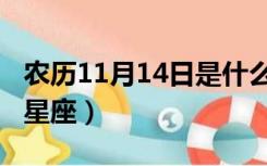 农历11月14日是什么星座（11月14日是什么星座）