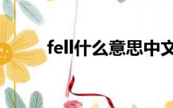 fell什么意思中文（fell什么意思）