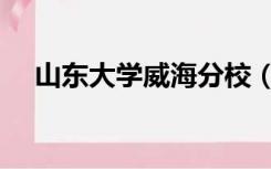 山东大学威海分校（山大威海分校官网）