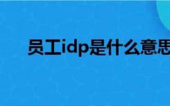 员工idp是什么意思（IDP是什么意思）