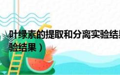 叶绿素的提取和分离实验结果分析（叶绿素的提取和分离实验结果）