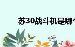 苏30战斗机是哪个国家的（苏 30）