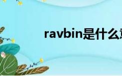 ravbin是什么意思（ravbin）