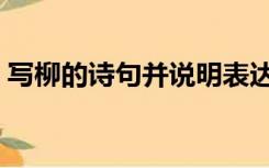 写柳的诗句并说明表达的情感（写柳的诗句）