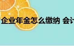 企业年金怎么缴纳 会计（企业年金怎么缴纳）