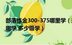 部落炼金300-375哪里学（想问一下部落的炼金225 300在哪学 多少级学）