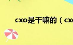 cxo是干嘛的（cxo概念是什么意思）