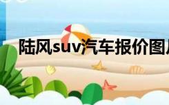 陆风suv汽车报价图片大全集（陆风suv）