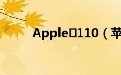 Apple 110（苹果110查询官网）