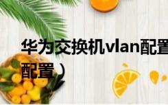 华为交换机vlan配置命令（华为交换机vlan配置）