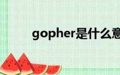 gopher是什么意思啊（gopher）