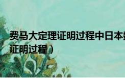 费马大定理证明过程中日本数学家给出的猜想（费马大定理证明过程）