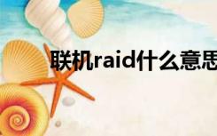 联机raid什么意思（raid什么意思）