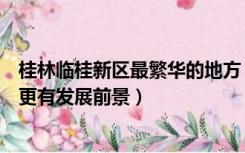 桂林临桂新区最繁华的地方（桂林八里街和临桂新区比哪个更有发展前景）