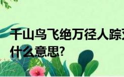 千山鸟飞绝万径人踪灭孤舟蓑笠翁独钓寒江雪什么意思?