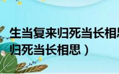 生当复来归死当长相思是什么意思（生当复来归死当长相思）