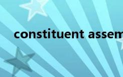 constituent assembly（constituent）