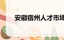 安徽宿州人才市场（宿州人才市场）