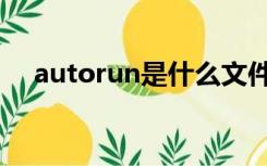 autorun是什么文件（autorun是什么）