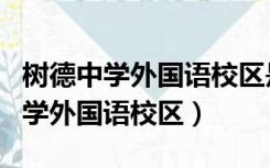 树德中学外国语校区是公立还是私立（树德中学外国语校区）