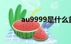 au9999是什么黄金（au99 99）