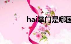 hai掌门是哪国人（hai掌门）