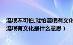 流氓不可怕,就怕流氓有文化,是哪位说的（流氓不可怕 就怕流氓有文化是什么意思）