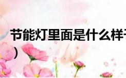 节能灯里面是什么样子的（节能灯里面是什么）