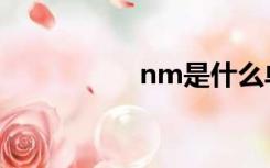 nm是什么单位（nm）