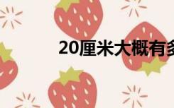 20厘米大概有多长?（20厘米）