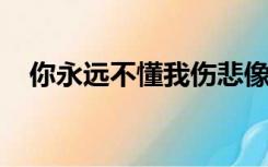 你永远不懂我伤悲像白天不懂夜的黑歌词