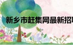 新乡市赶集网最新招聘信息（新乡赶集网）