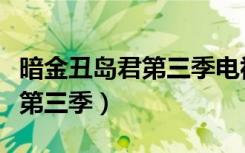 暗金丑岛君第三季电视剧百度云（暗金丑岛君第三季）