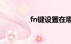 fn键设置在哪（fn键设置）