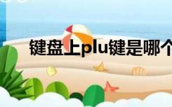 键盘上plu键是哪个键（plu机械键盘）