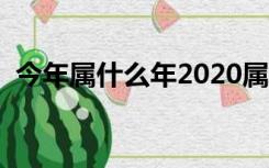 今年属什么年2020属什么年（今年属什么）